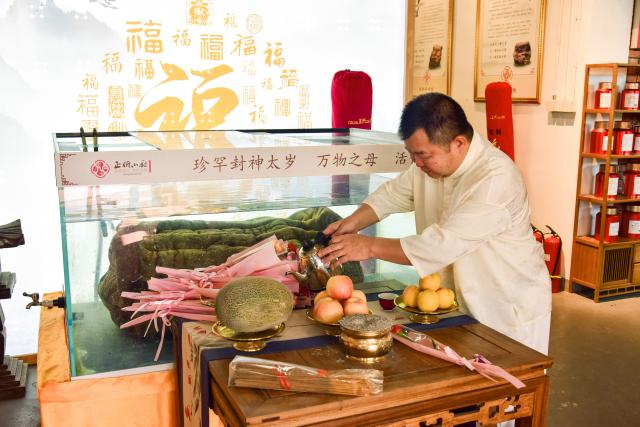 活动照片