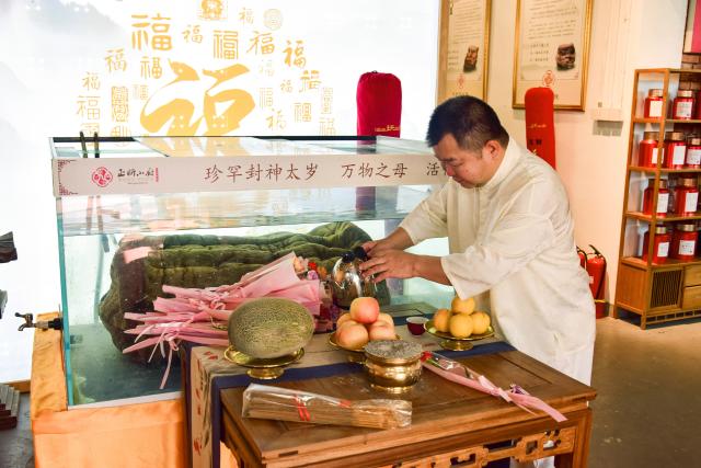 活动照片